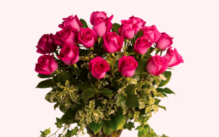 Красивые розы в букете