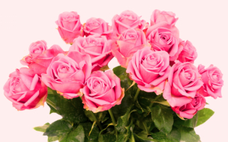 Красивый розовый букет