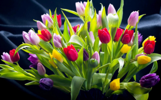Букет разноцветных тюльпанов
