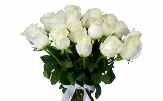 Красивый букет из белых роз