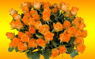 Оранжевые розы в букете