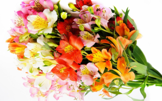 Цветы лилейники в букете