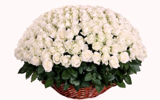 Шикарный букет белых роз в корзине