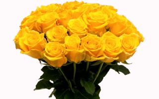 Красивый букет желтых роз