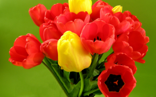 Красивый букет