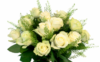 Букет белых роз