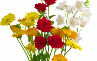 Букет цветов