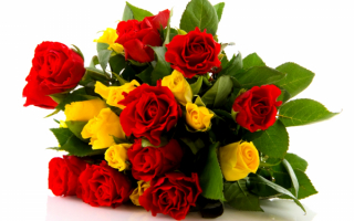 Красные и желлтые розы в букете