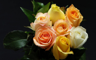 Букетик роз