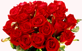 Красные розы в красивом букете