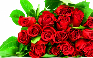 Букет красных роз