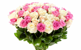 Белые и розовые розы в букете