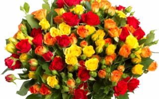 Букет из разноцветных роз