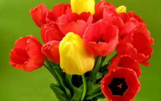 Красивый букет