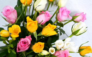 Букет роз с тюльпанами