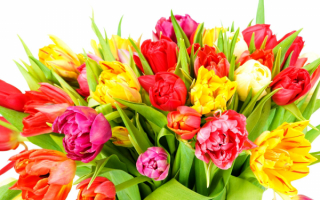 Весенний букет