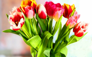 Букет весенних цветов тюльпанов