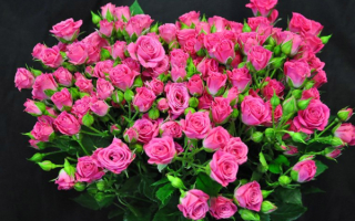 Букет многоцветковых роз
