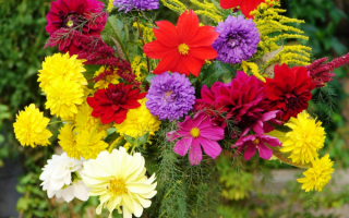 Букет осенних цветов