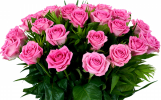 Букет розовых роз