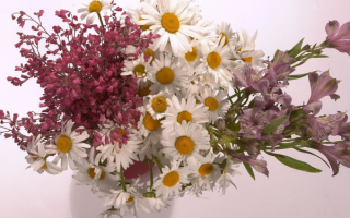 Букет полевых цветов