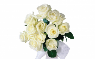 Букетик белых роз