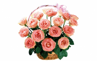 Розы в корзиночке