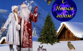 Дед Мороз и Снегурочка