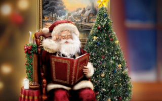 Домашний дед Мороз