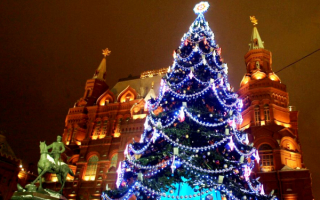 Новогодняя елка в Москве