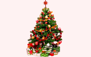 Волшебный праздник Новый год