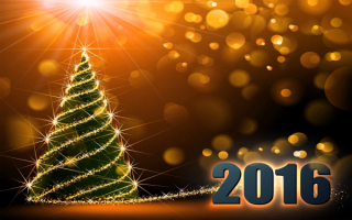 Год 2016