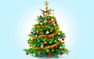 Елка новогодняя