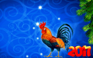 2017 год петуха