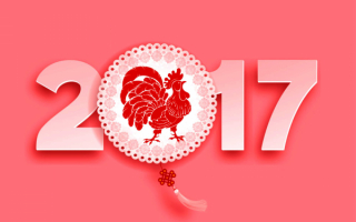 Новый 2017 год