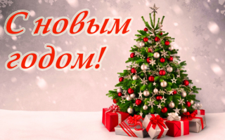 Здравствуй праздник новый год