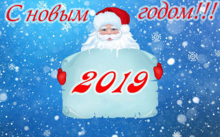 С новым 2019 годом