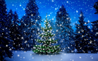 Зима лес снегопад новый год