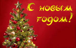 Елка новый год