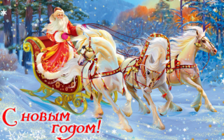 Тройка белых коней с дедом Морозом спешит на праздник