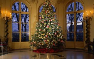 Украшенная елка