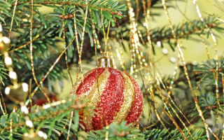 Новогодняя елка