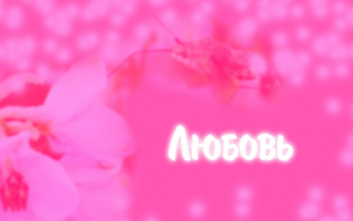 Любовь