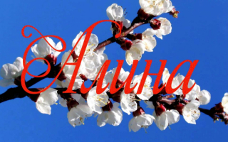 Алина
