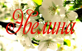 Эвелина