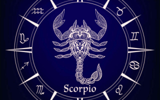 Знак зодиака скорпион
