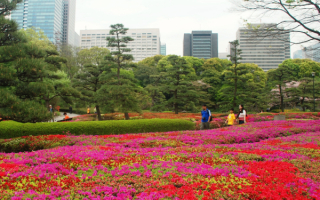 Парк в Токио