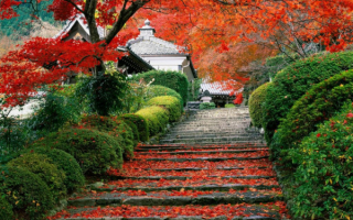 Осень в японском парке