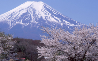 Весна гора Фудзи Япония
