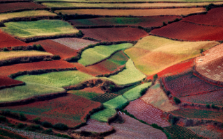 Разноцветные китайские поля